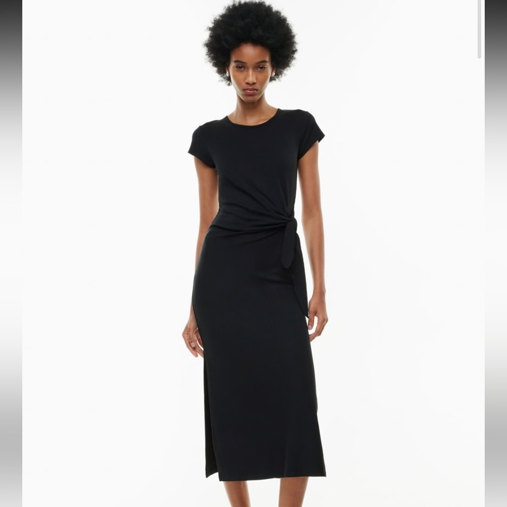 Wilfred Aritzia Fortune Dress